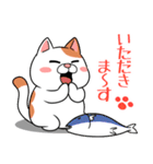 太っちょ猫【基本編】（個別スタンプ：34）