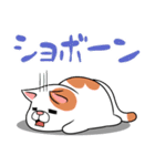 太っちょ猫【基本編】（個別スタンプ：40）