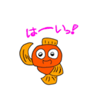 日常で使えるデメキンスタンプ（個別スタンプ：10）