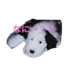 キャロル君のスタンプです♡（個別スタンプ：1）