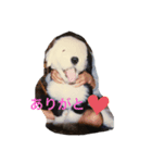 キャロル君のスタンプです♡（個別スタンプ：6）