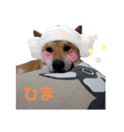 Miyabi,s（個別スタンプ：5）