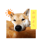 Miyabi,s（個別スタンプ：7）