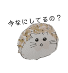 いろんなどうぶつ4（個別スタンプ：34）