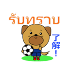 タイのサッカー犬（個別スタンプ：3）