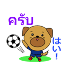 タイのサッカー犬（個別スタンプ：4）
