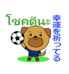 タイのサッカー犬（個別スタンプ：7）