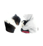 愛犬バディスタンプ（個別スタンプ：2）