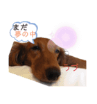 ラブとエマとマロンと…（個別スタンプ：6）