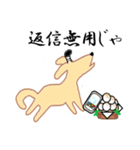 【武士語】薄茶色のワンコ(犬) 侍犬♪（個別スタンプ：8）