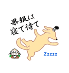 【武士語】薄茶色のワンコ(犬) 侍犬♪（個別スタンプ：34）