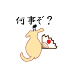 【武士語】薄茶色のワンコ(犬) 侍犬♪（個別スタンプ：40）