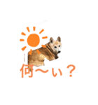 ミーコ先生の日常（個別スタンプ：2）