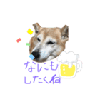 ミーコ先生の日常（個別スタンプ：7）