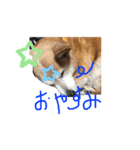 ミーコ先生の日常（個別スタンプ：8）