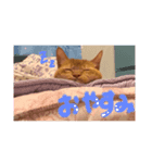 まろんくんの日常（個別スタンプ：1）