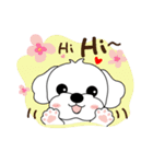 マルチーズ犬 とてもかわいい（個別スタンプ：1）