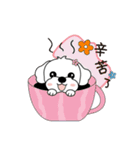 マルチーズ犬 とてもかわいい（個別スタンプ：7）