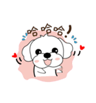 マルチーズ犬 とてもかわいい（個別スタンプ：8）