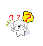 マルチーズ犬 とてもかわいい（個別スタンプ：9）