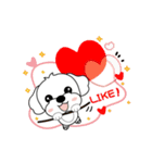 マルチーズ犬 とてもかわいい（個別スタンプ：10）