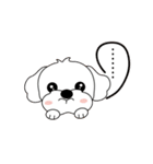 マルチーズ犬 とてもかわいい（個別スタンプ：11）