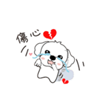 マルチーズ犬 とてもかわいい（個別スタンプ：12）