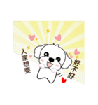 マルチーズ犬 とてもかわいい（個別スタンプ：13）
