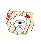 マルチーズ犬 とてもかわいい（個別スタンプ：15）
