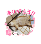 ファイブ作成スタンプ（個別スタンプ：1）