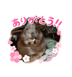 ファイブ作成スタンプ（個別スタンプ：3）