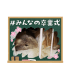 ファイブ作成スタンプ（個別スタンプ：4）