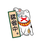 【笑門来福】招き猫（個別スタンプ：7）