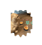 ピンクとシルク（個別スタンプ：3）