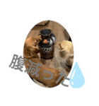 ピンクとシルク（個別スタンプ：6）
