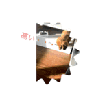 ピンクとシルク（個別スタンプ：7）