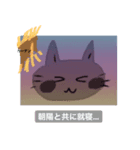いつも笑顔の猫4（個別スタンプ：11）
