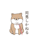 イケメンな柴犬（個別スタンプ：7）