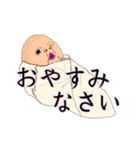 天国言葉と人情物語（個別スタンプ：12）