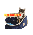 犬の気持ちを言葉に表す（個別スタンプ：5）