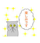 黒梟と弟子のスタンプ2（個別スタンプ：16）