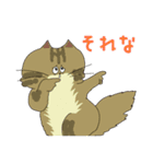 小生意気なペルシャちゃん（個別スタンプ：5）