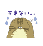 小生意気なペルシャちゃん（個別スタンプ：8）