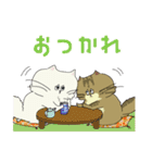 小生意気なペルシャちゃん（個別スタンプ：12）