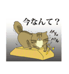 小生意気なペルシャちゃん（個別スタンプ：17）