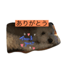 トイプードル3匹集（個別スタンプ：8）