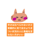 いつも笑顔の猫2（個別スタンプ：12）