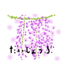 点描のお花スタンプ（個別スタンプ：8）