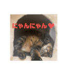 めいちゃんのスタンプ①（個別スタンプ：3）