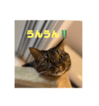 めいちゃんのスタンプ①（個別スタンプ：5）